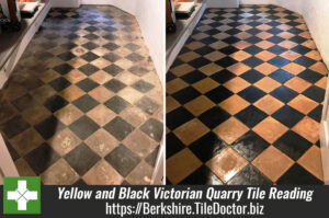 Soiled Yellow and Black Victorian Quarry Tile Restoration